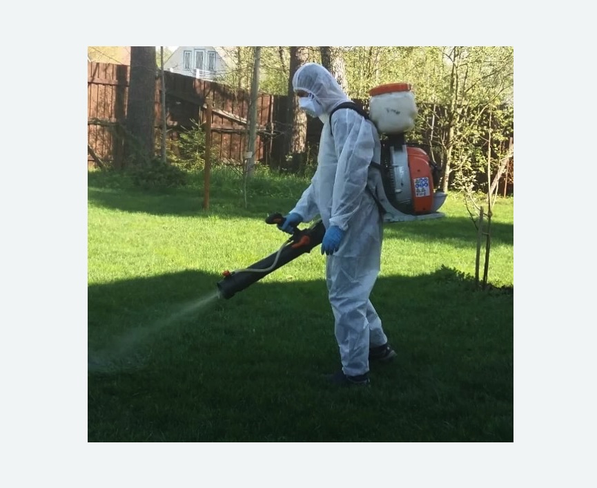 Обработка территории от клещей в Таштаголе