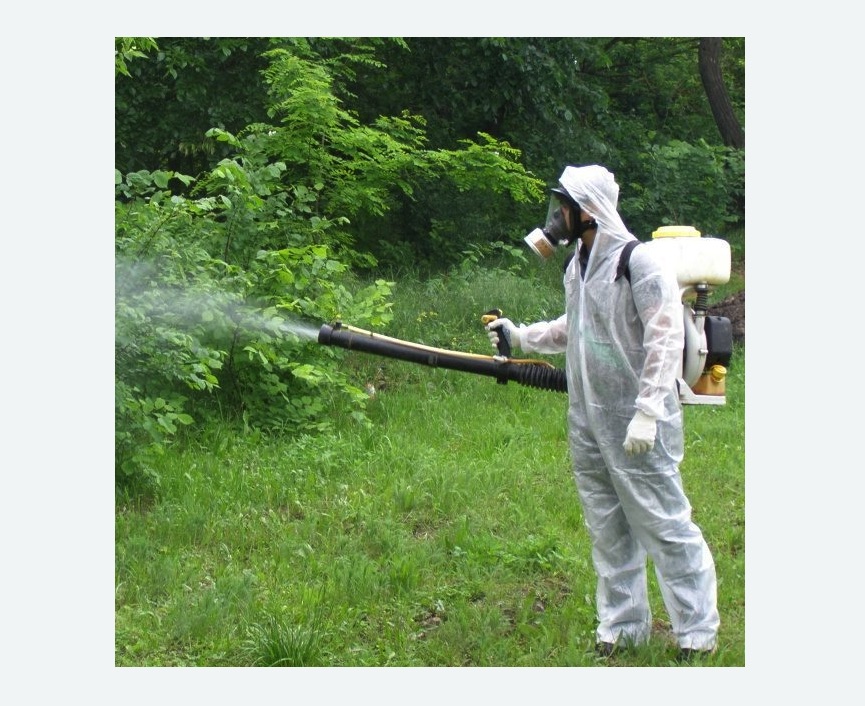 обработка дачи от клещей обработка территории от клещей в Таштаголе