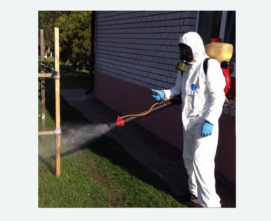 уничтожение клещей на участке травля клещей на участке в Таштаголе