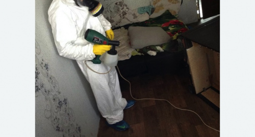 Обработка квартир от насекомых в Таштаголе