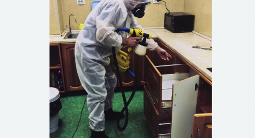 Дезинсекция квартиры. Таштагол