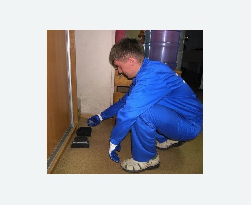 Дератизация крыс в Таштаголе