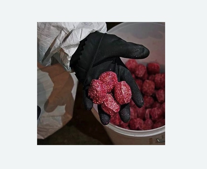 Обработка от крыс в Таштаголе