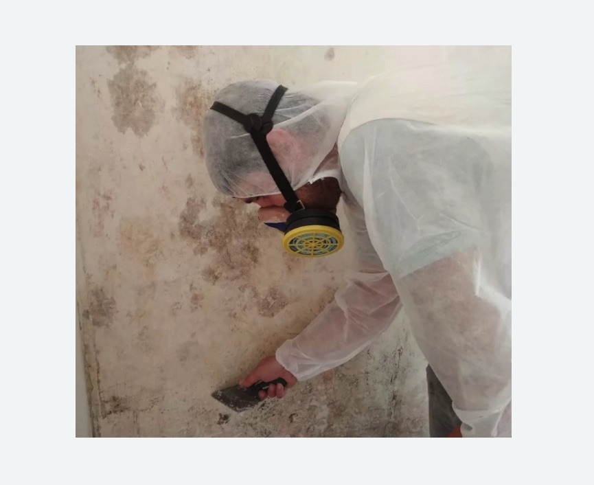 Обработка стен от плесени в Таштаголе