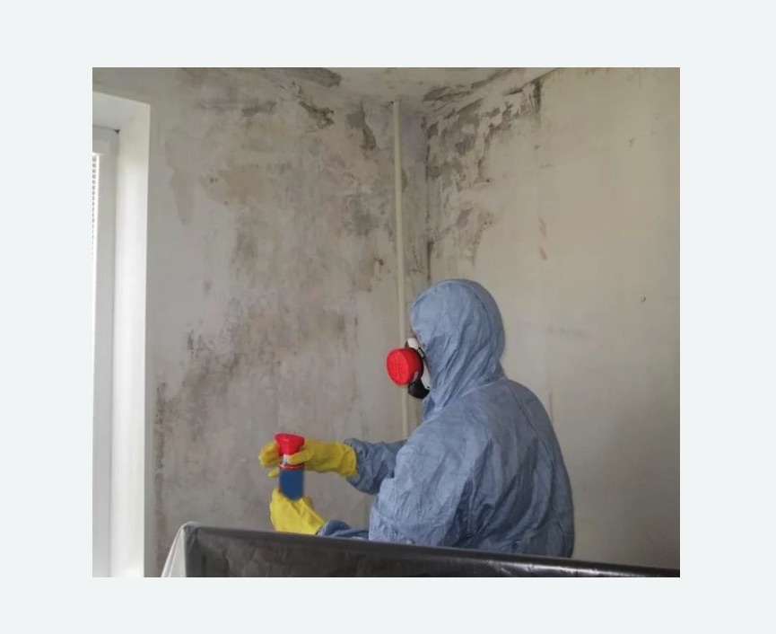 Удаление плесени в квартире в Таштаголе