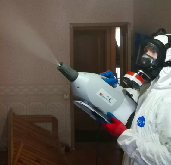 дезинсекция помещения в Таштаголе