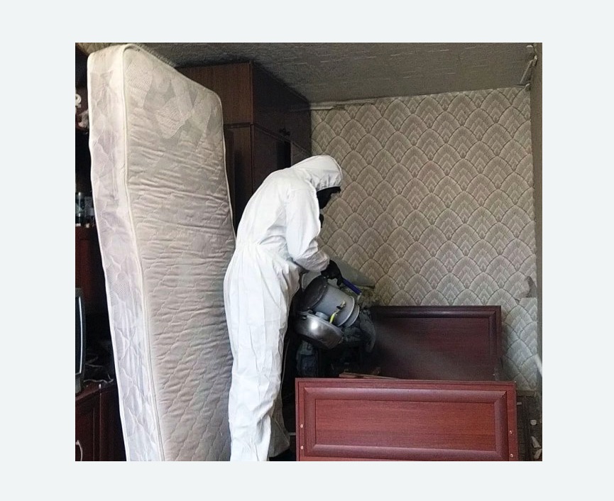 дезинфекция от клопов в Таштаголе