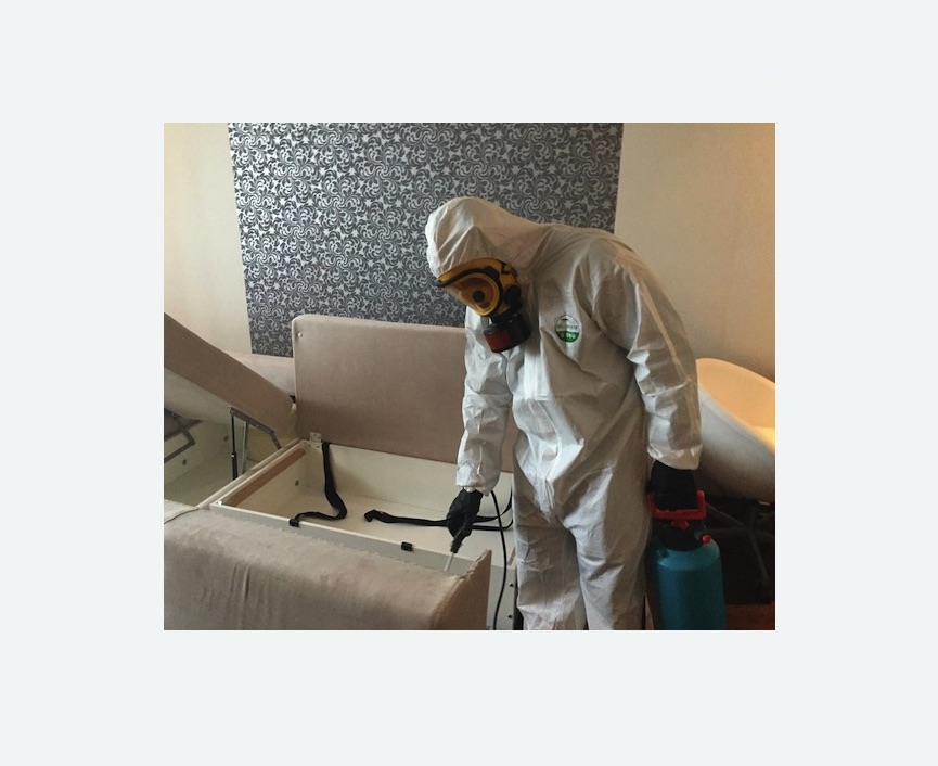 уничтожение клопов в квартире в Таштаголе