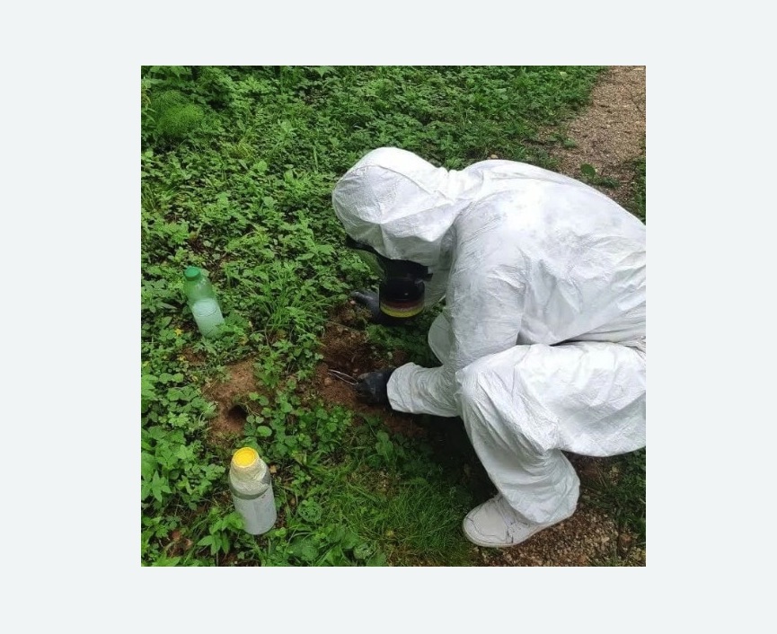 уничтожение кротов на участке в Таштаголе