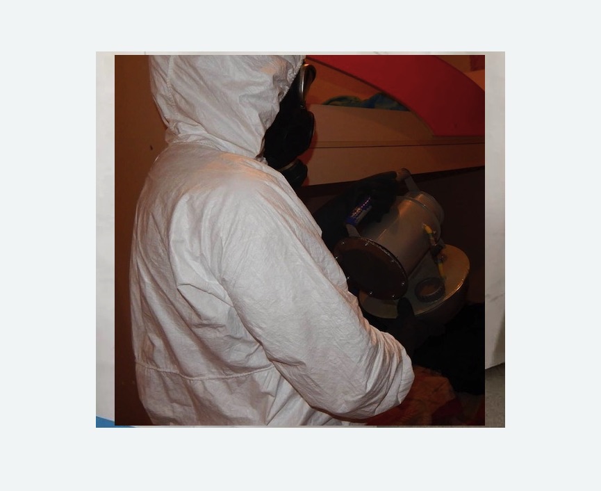 Дезинфекция от муравьев в Таштаголе