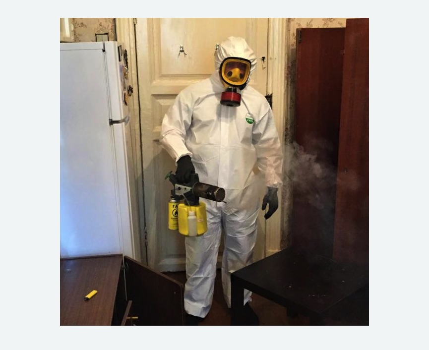 уничтожение муравьев в квартире в Таштаголе